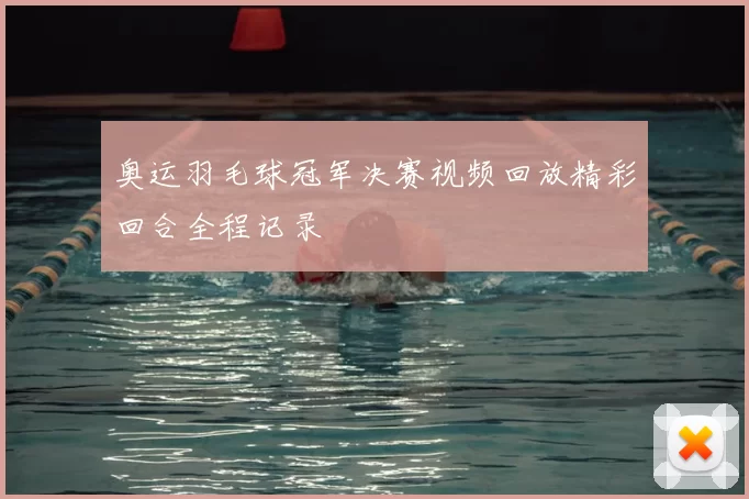 奥运羽毛球冠军决赛视频回放精彩回合全程记录