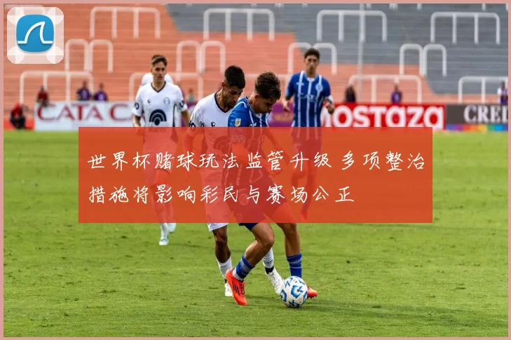 世界杯赌球玩法监管升级 多项整治措施将影响彩民与赛场公正