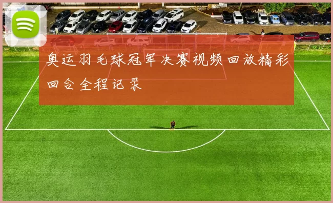 奥运羽毛球冠军决赛视频回放精彩回合全程记录