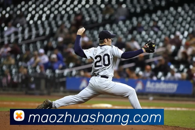 App Interface Preview